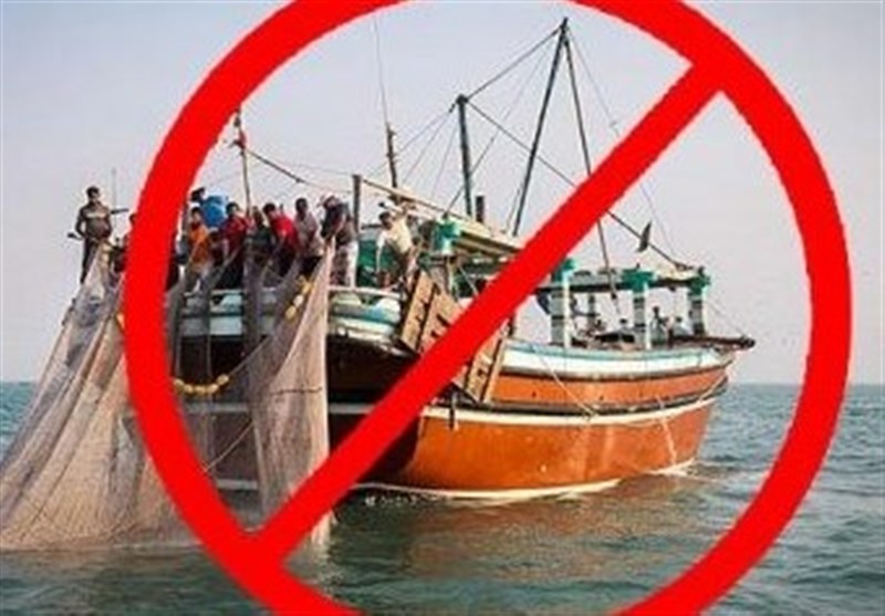 تقویم ممنوعیت صید ماهی حلوا سفید رعایت شود