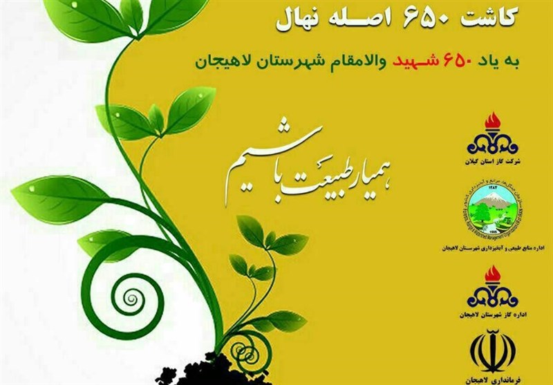 650 اصله نهال به یاد شهدای شهرستان لاهیجان کاشته می‌شود