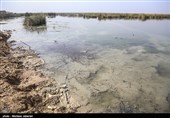 مشکلات زیست محیطی تالاب شادگان - خوزستان