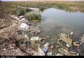 مشکلات زیست محیطی تالاب شادگان - خوزستان