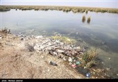 مشکلات زیست محیطی تالاب شادگان - خوزستان