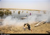 مشکلات زیست محیطی تالاب شادگان - خوزستان