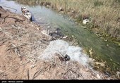 مشکلات زیست محیطی تالاب شادگان - خوزستان