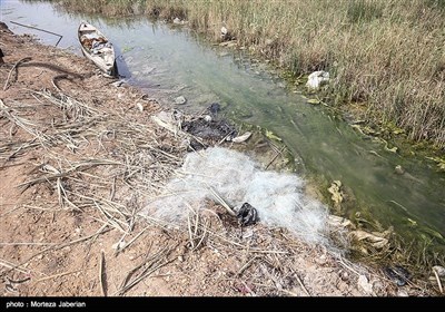مشکلات زیست محیطی تالاب شادگان - خوزستان
