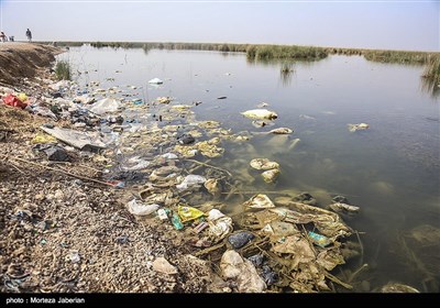 مشکلات زیست محیطی تالاب شادگان - خوزستان