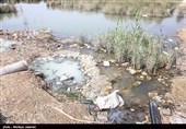 مشکلات زیست محیطی تالاب شادگان - خوزستان