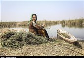 مشکلات زیست محیطی تالاب شادگان - خوزستان