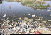 مشکلات زیست محیطی تالاب شادگان - خوزستان