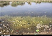 مشکلات زیست محیطی تالاب شادگان - خوزستان