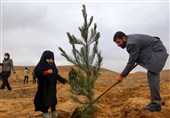 سمنان|طرح‌های روز درختکاری به‌صورت استانی برنامه‌ریزی می‌شود