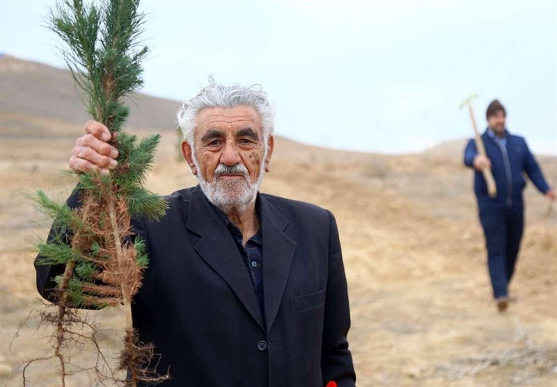 طرح هرخانوار یک نهال در یاسوج آغاز شد+تصاویر