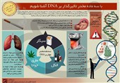اینفوگرافیک / مواد مخدر تاثیرگذار بر DNA