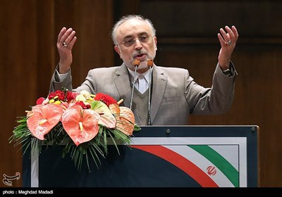  صالحی: ایران با تمام توان از امنیت خود دفاع خواهد کرد 