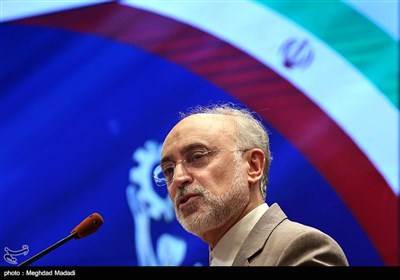 انتقاد رئیس سازمان انرژی اتمی از خرید ارزان برق نیروگاه بوشهر
