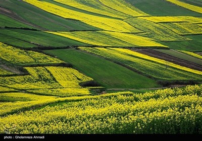 ایران کے شمال میں صوبہ مازندران میں بہار کی آمد