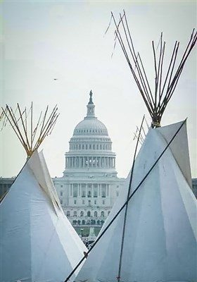 تظاهرات بومیان آمریکا
