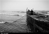 هیچ شناور چینی اجازه ماهیگیری در آبهای ایران را ندارد