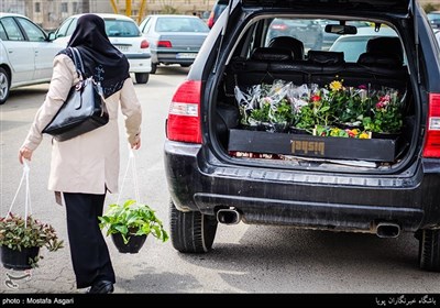 Iranians Greet New Year at Flower Markets