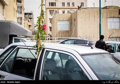 Iranians Greet New Year at Flower Markets