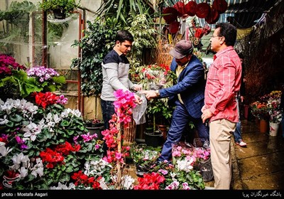 Iranians Greet New Year at Flower Markets
