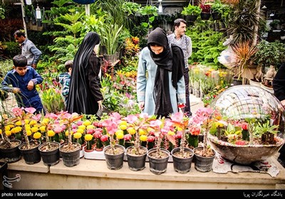 Iranians Greet New Year at Flower Markets