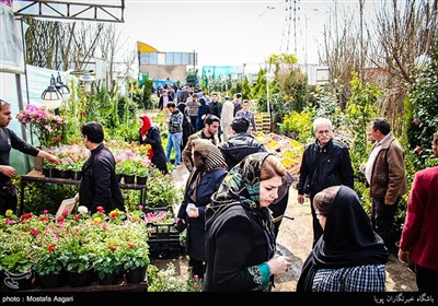 Iranians Greet New Year at Flower Markets