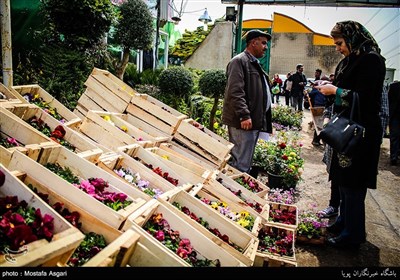 Iranians Greet New Year at Flower Markets