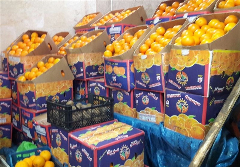 میدان‌داری پرتقال‌ مصری در بازار شب عید+ عکس و قیمت انواع میوه