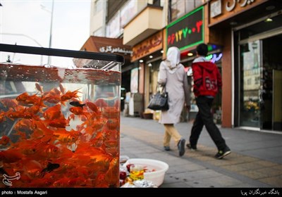 A Day before New Year in Iran