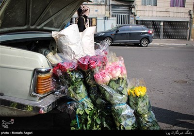 A Day before New Year in Iran
