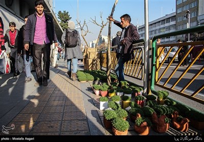 A Day before New Year in Iran