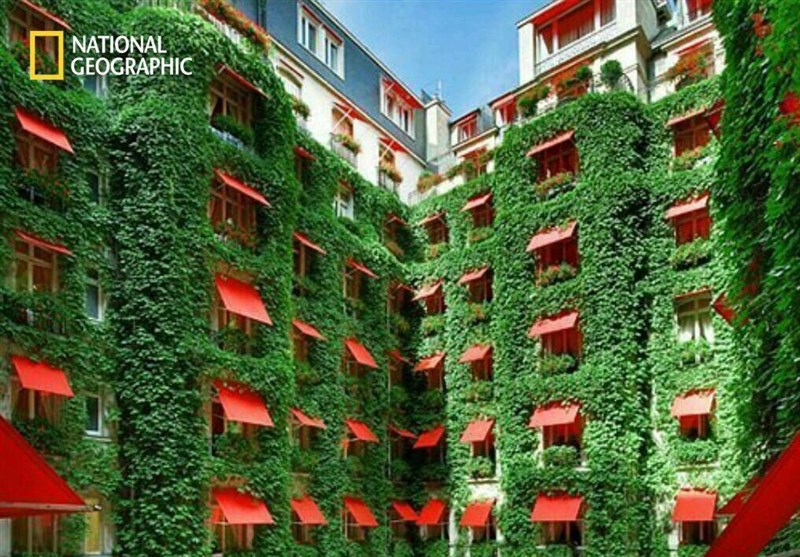 عکس/هتل سبز پاریس فرانسه