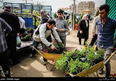 ایران میں نوروز کے موقع پر پھولوں کے بازار سج گئے