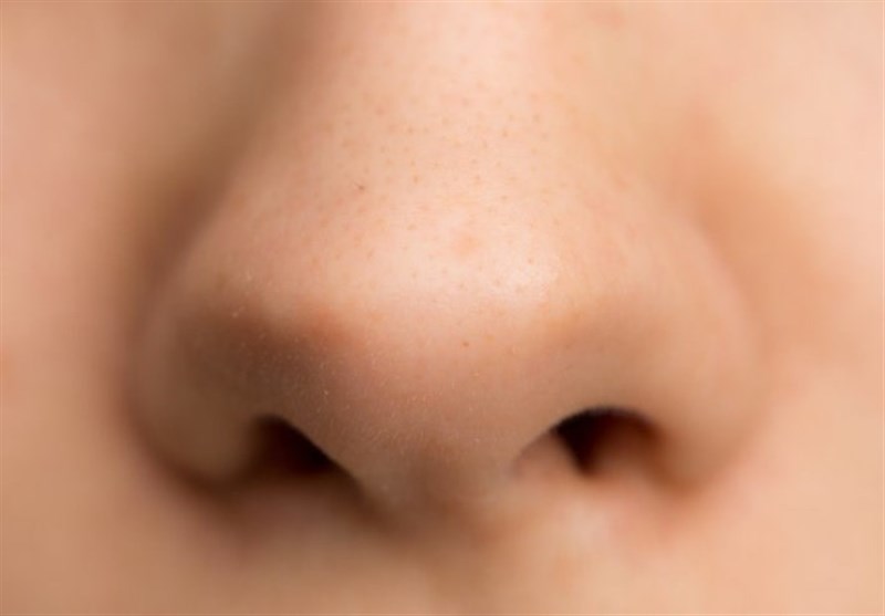 Nose Form Was Shaped by Climate