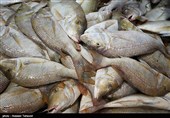 مصرف ماهی در ایران یک سوم جهان است/ فست فود دریایی به بازار آمد