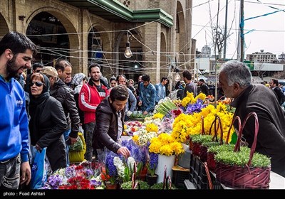 شهر در چند قدمی بهار