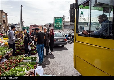 شهر در چند قدمی بهار