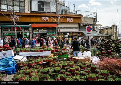 شهر در چند قدمی بهار