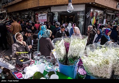 شهر در چند قدمی بهار