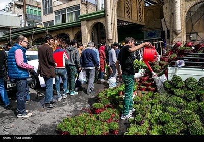 شهر در چند قدمی بهار