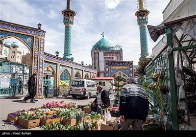 شهر در چند قدمی بهار