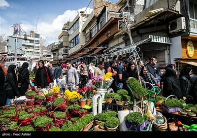 شهر در چند قدمی بهار