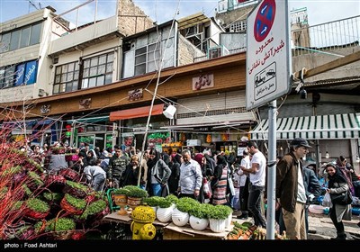 شهر در چند قدمی بهار