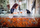 اصفهان| بازار شب عید در نصف‌جهان و دغدغه‌هایی از جنس &quot;پول&quot;+ فیلم
