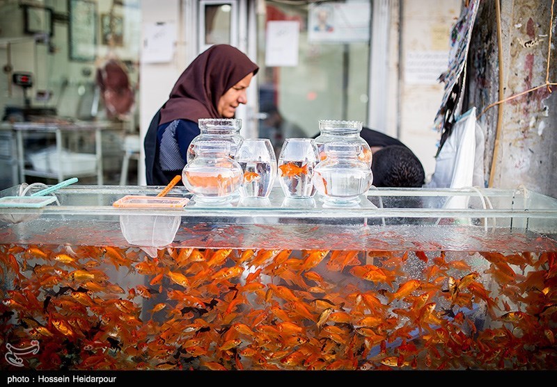 اصفهان| بازار شب عید در نصف‌جهان و دغدغه‌هایی از جنس &quot;پول&quot;+ فیلم
