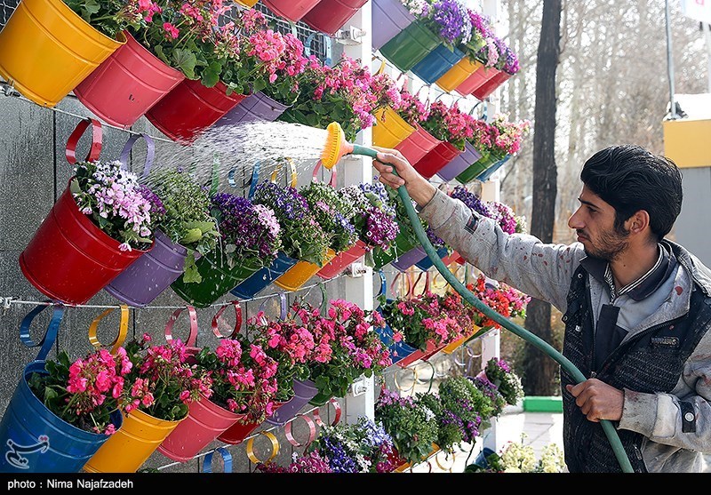 کاشت 10 هزار شاخه گل برای استقبال از مهمانان نوروزی در ایلام