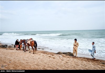 گردشگران نوروزی در چابهار