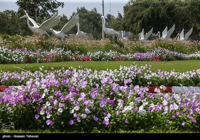 Iran’s Kish Island in Spring 