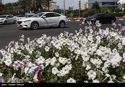 Iran’s Kish Island in Spring 