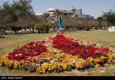 Iran’s Kish Island in Spring 